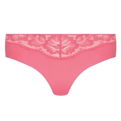 Culotte
