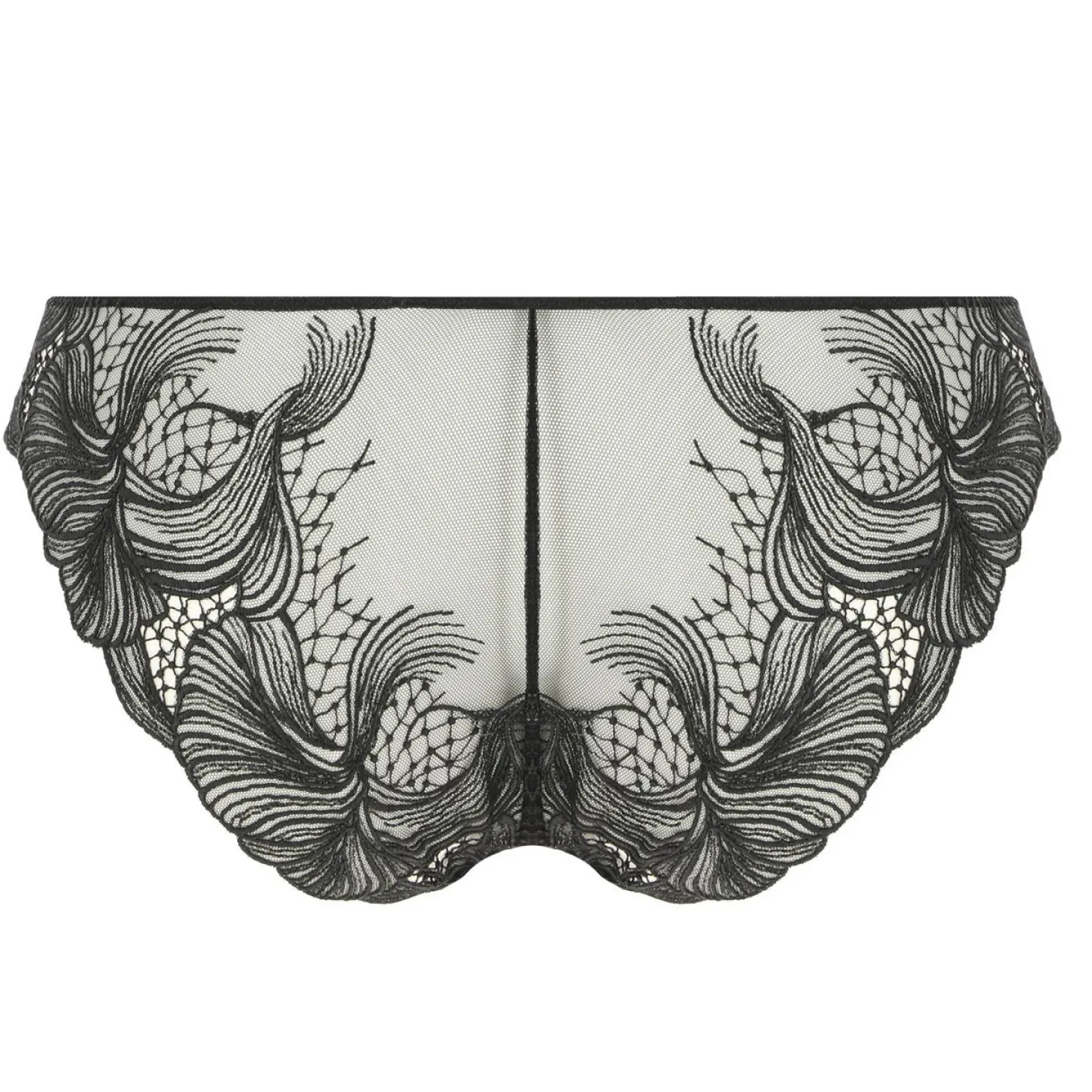 Culotte