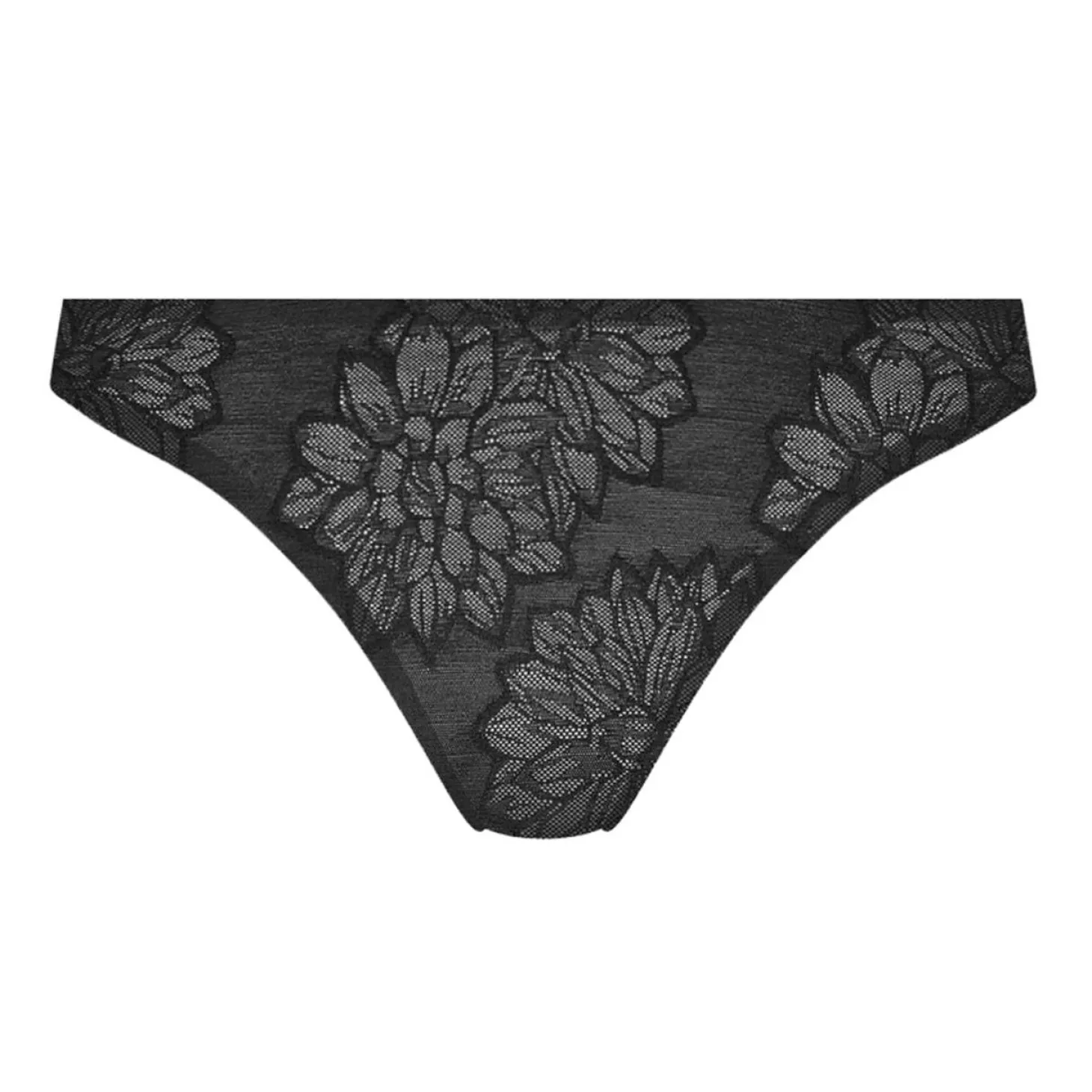Culotte Echancree