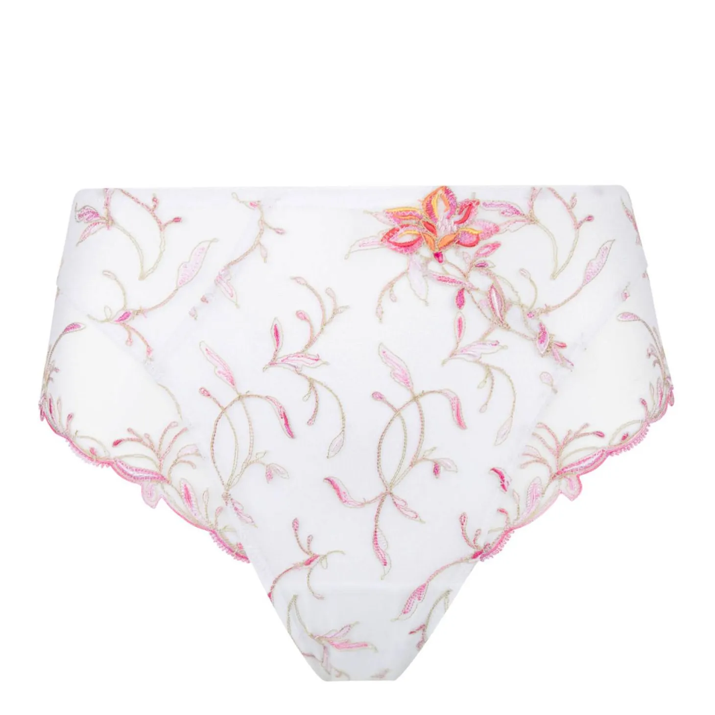 Culotte Haute
