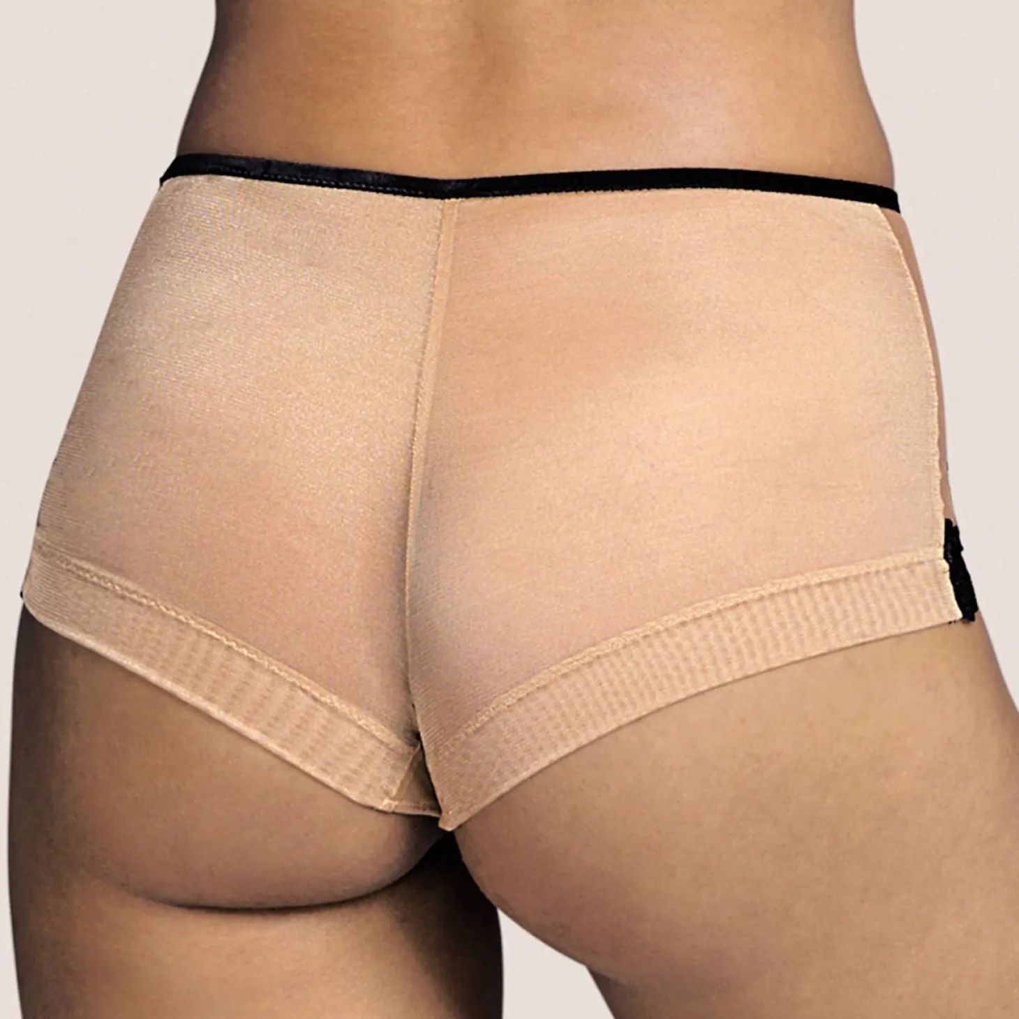 Culotte Haute En Dentelle Et Strass