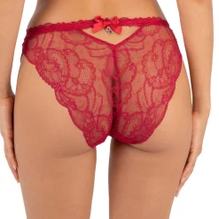 Slip Seduction En Dentelle