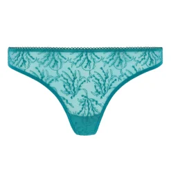 Tanga